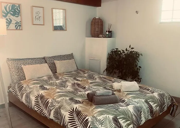 Bobo 2 Daire Iglesias