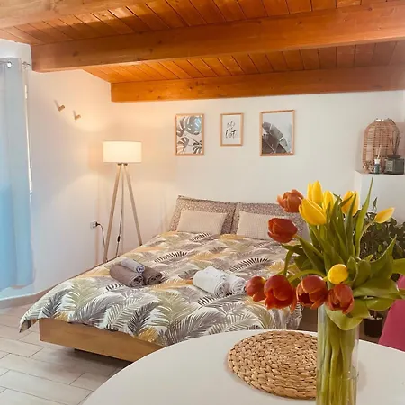 Apartmán Bobo 2 Iglesias